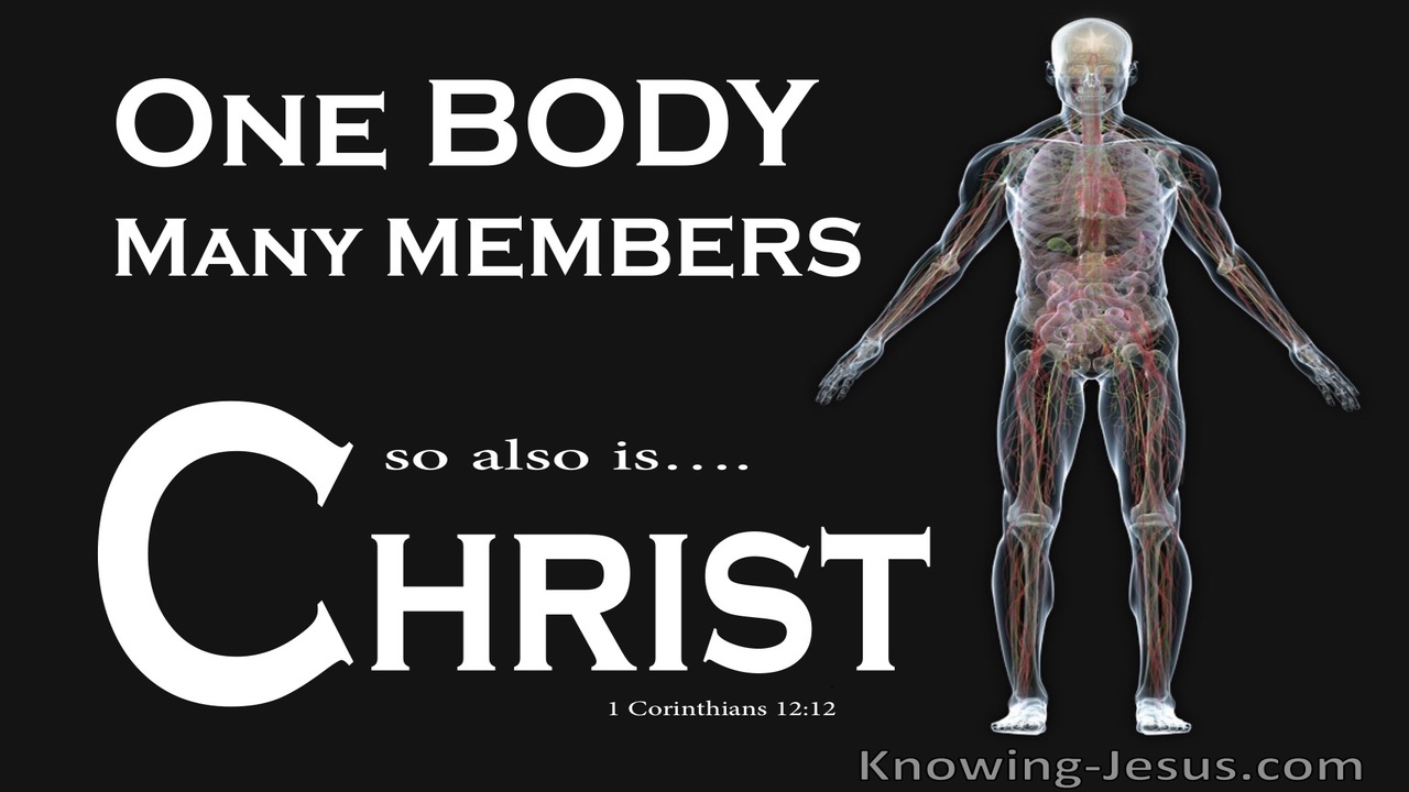 1 Corinthians 12:12 One Body Many Members So Also Christ (white)